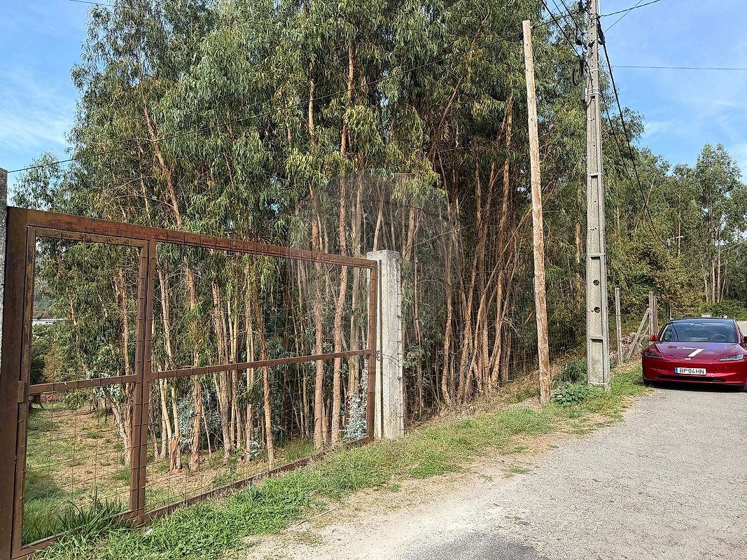 Terreno - Macieira de Cambra, Vale de Cambra, Aveiro