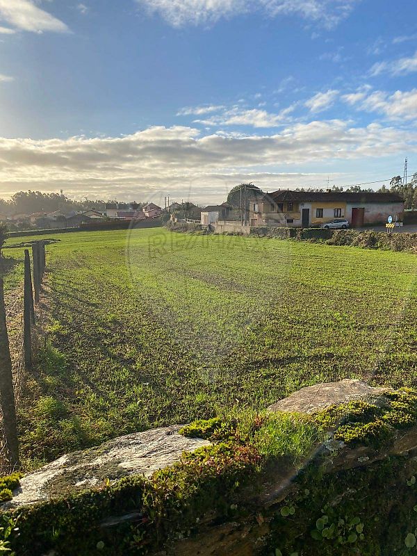 Terreno - Loureiro, Oliveira de Azeméis, Aveiro