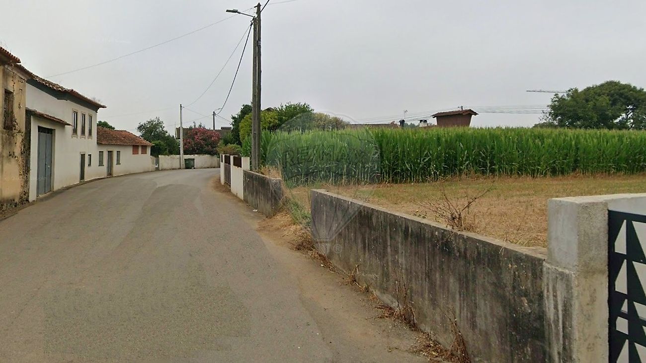 Terreno - Loureiro, Oliveira de Azeméis, Aveiro