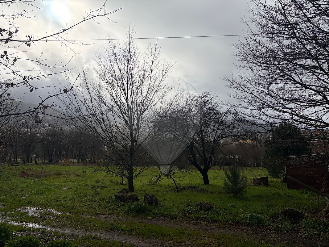 Terreno - São Pedro de Castelões, Vale de Cambra, Aveiro