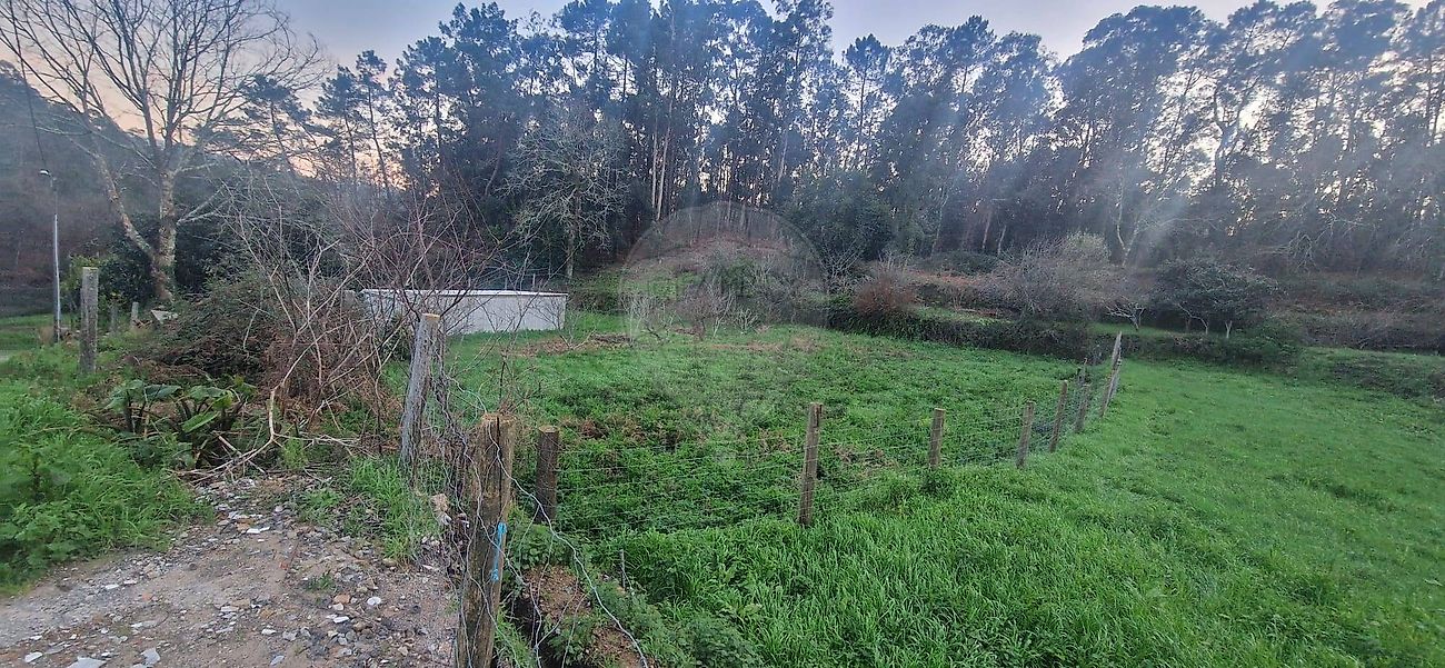 Terreno à venda em Oliveira de Azeméis