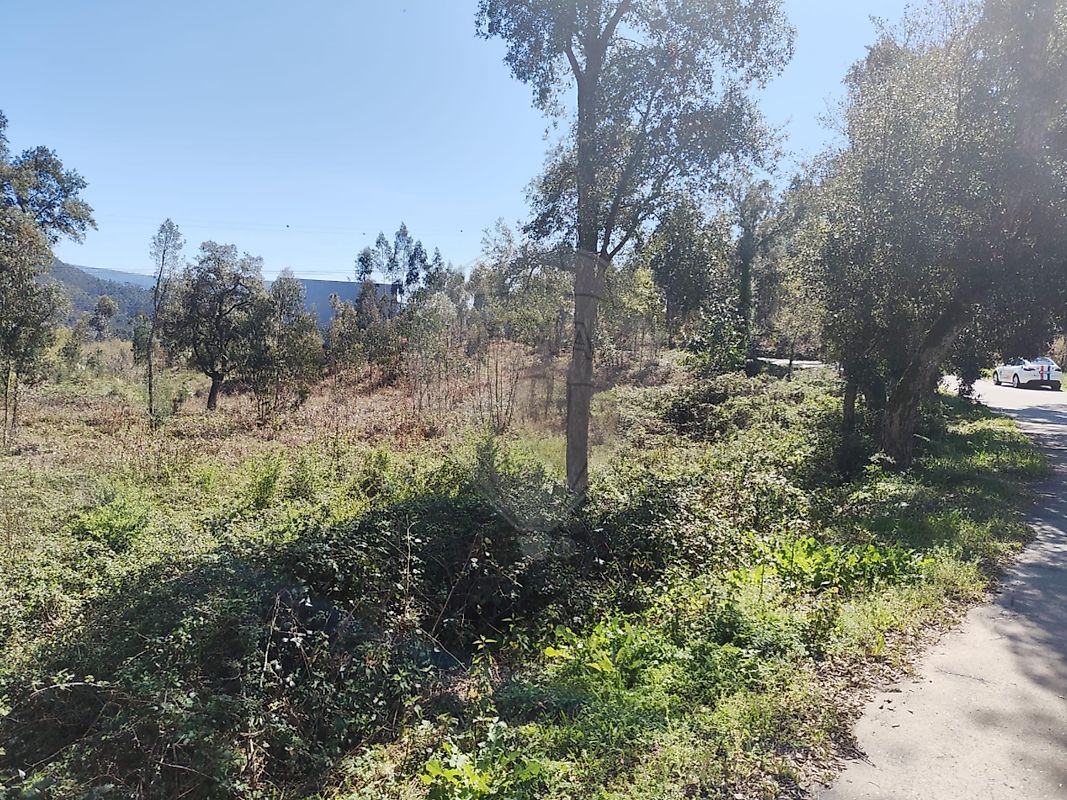 Terreno à venda em Oliveira de Azeméis