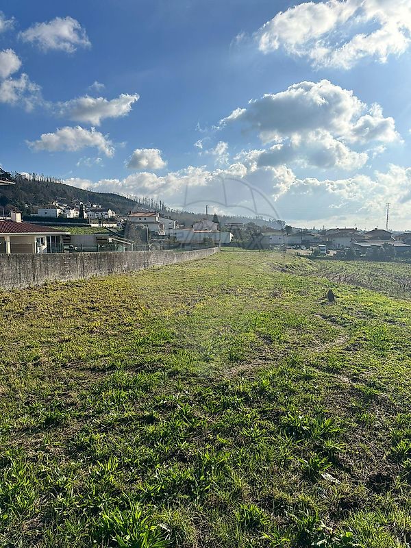 Terreno - Branca, Albergaria-a-Velha, Aveiro