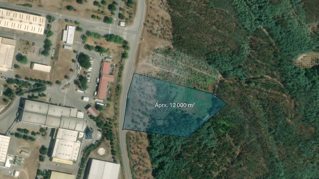 Terreno - Barreiro de Besteiros e Tourigo, Tondela, Viseu