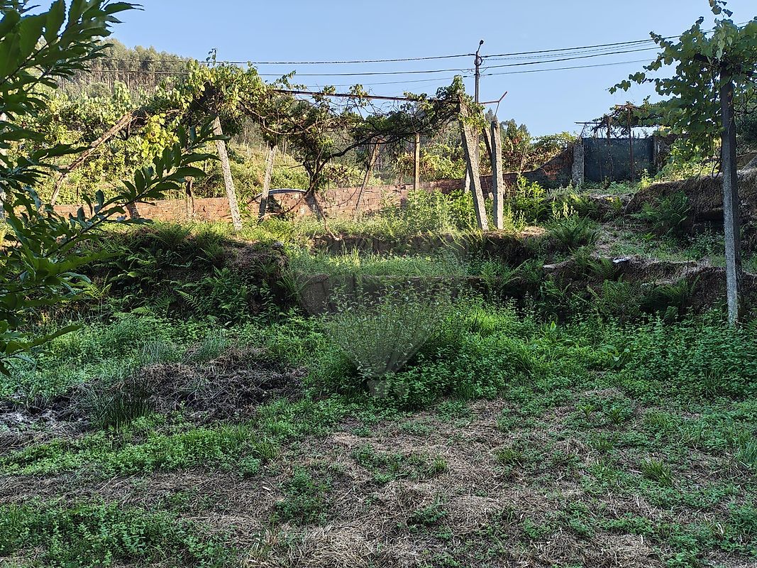 Moradia T2 à venda em Macieira de Cambra, Vale de Cambra — foto 12