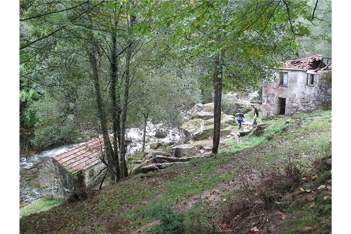 Quinta à venda em Cinfães