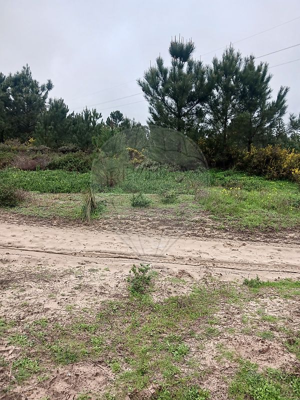 Terreno à venda em Sesimbra