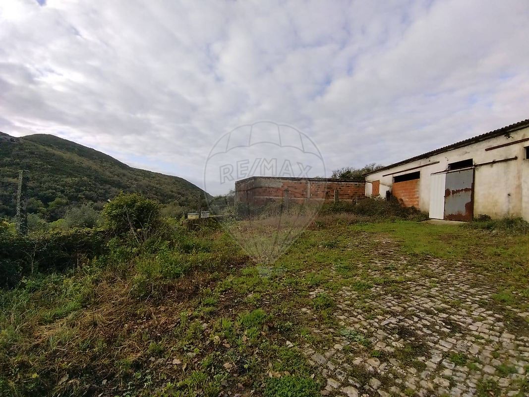 listing-picture-0