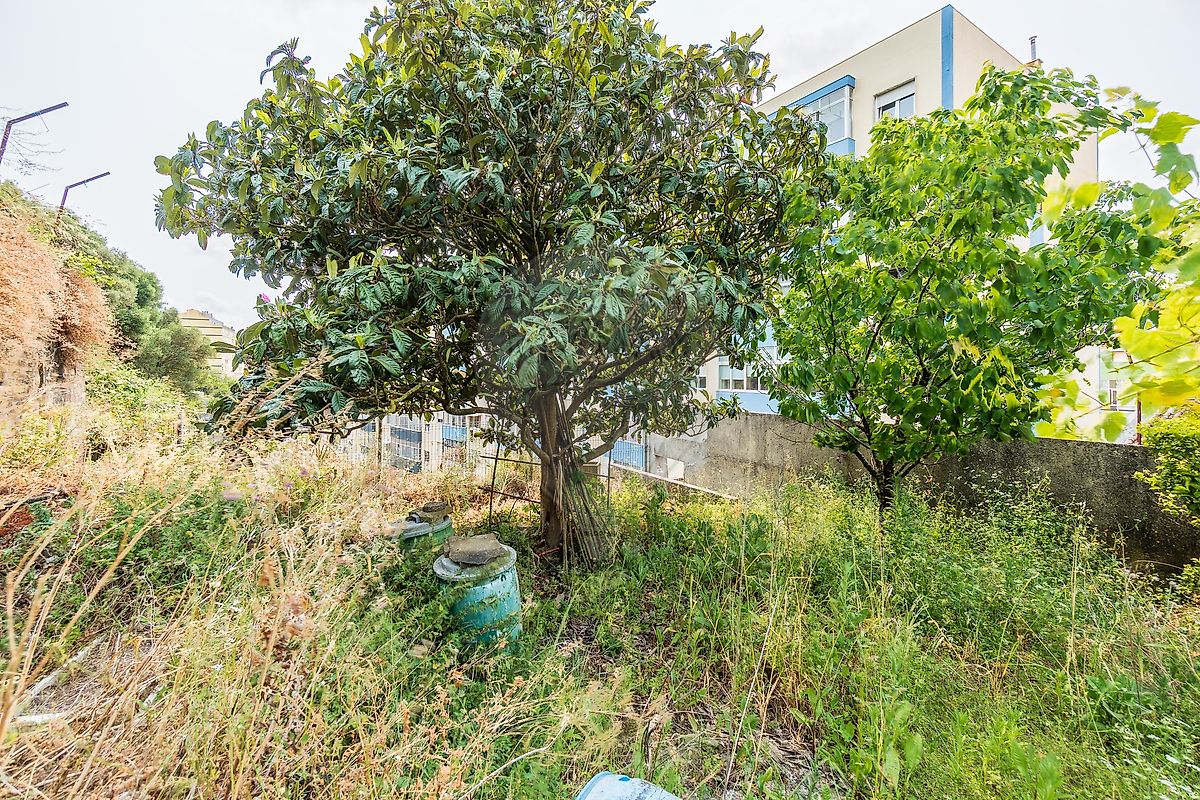 listing 122141247-190 picture-0