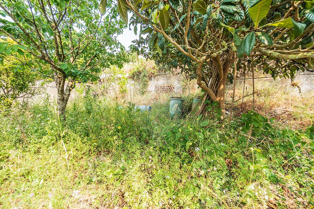 listing 122141247-190 picture-0