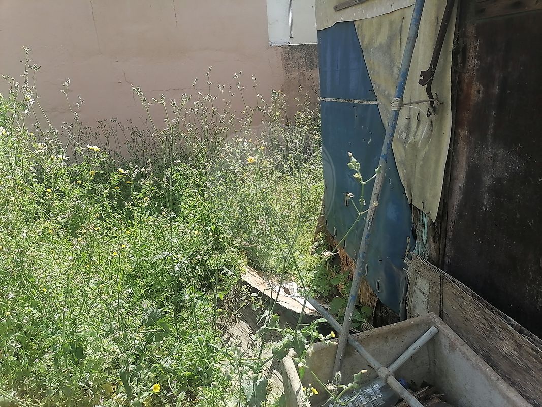 Terreno em Loures