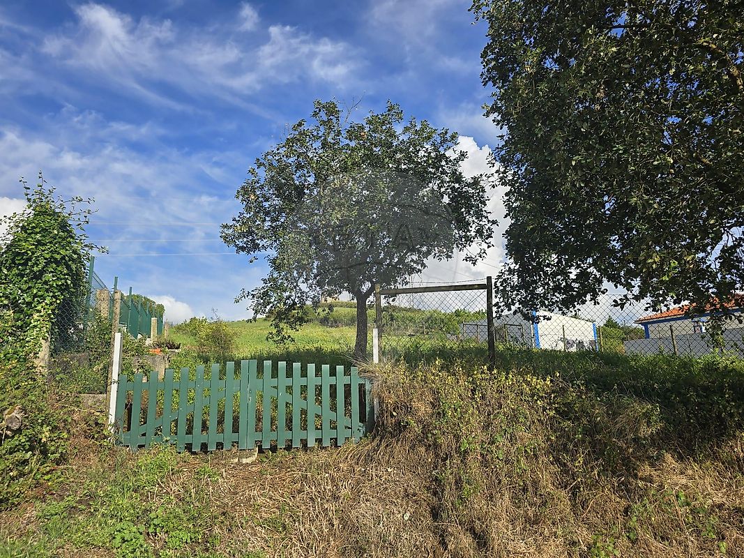 Terreno - São Quintino, Sobral de Monte Agraço, Lisboa
