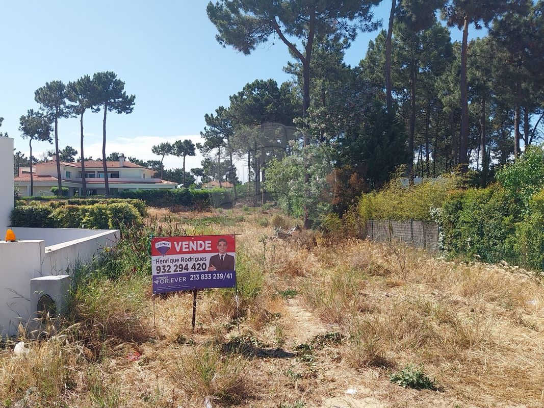 listing-picture-0