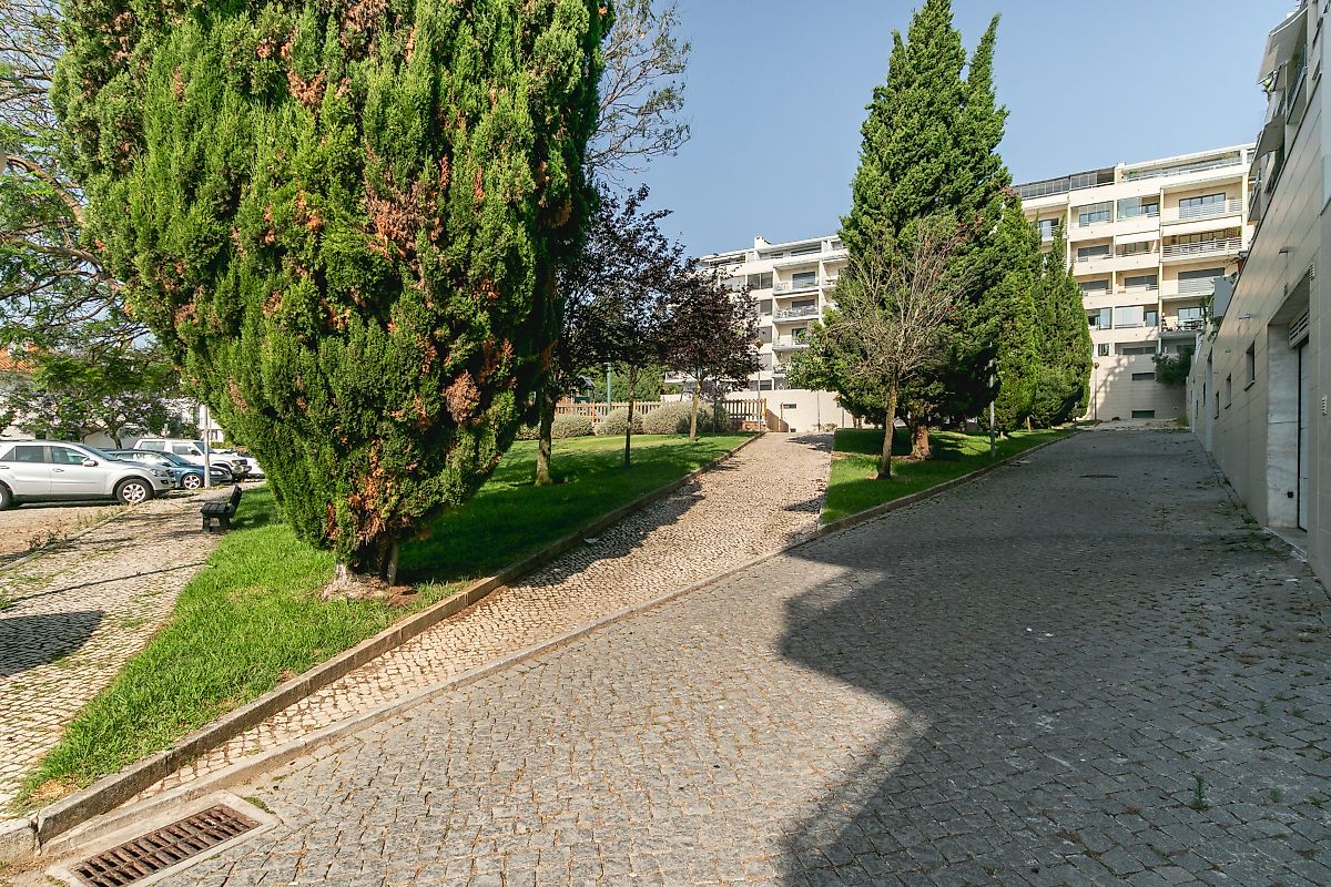 listing 122181528-66 picture-0