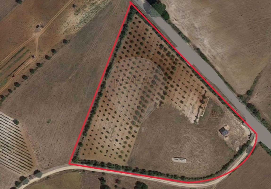 Terreno  para venda