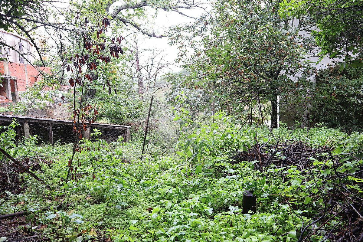 Moradia T4 à venda em Pomares, Arganil — foto 20