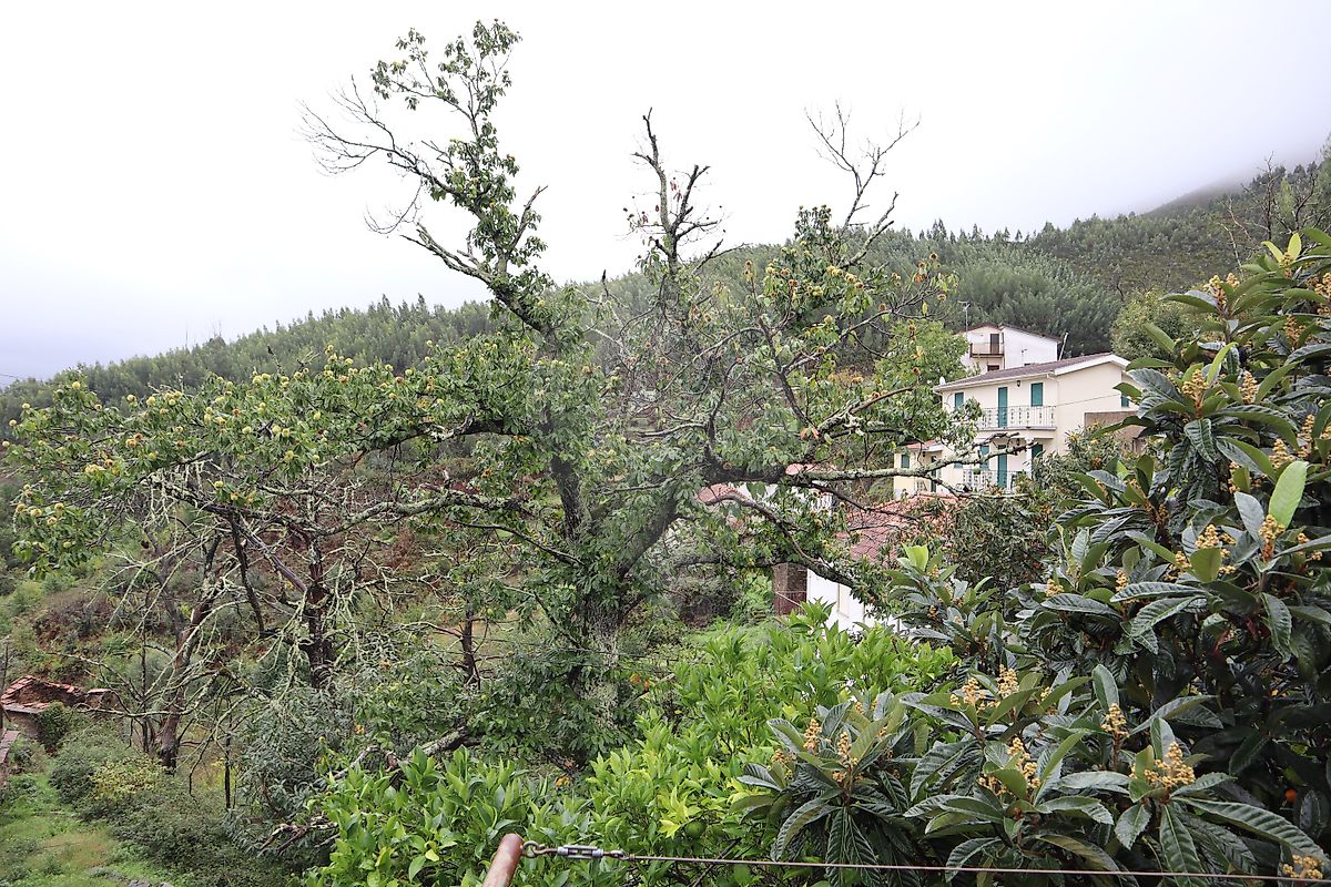 Moradia T4 à venda em Pomares, Arganil — foto 12