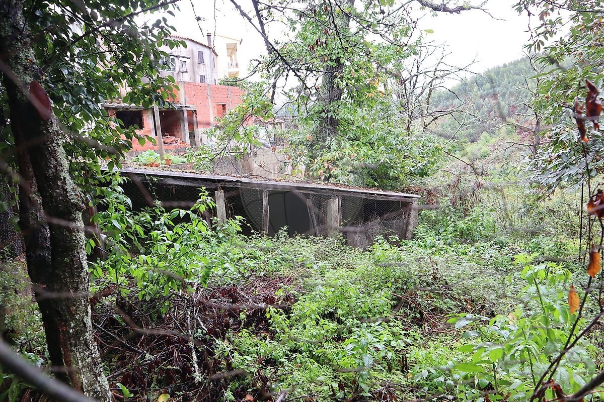Moradia T4 à venda em Pomares, Arganil — foto 19