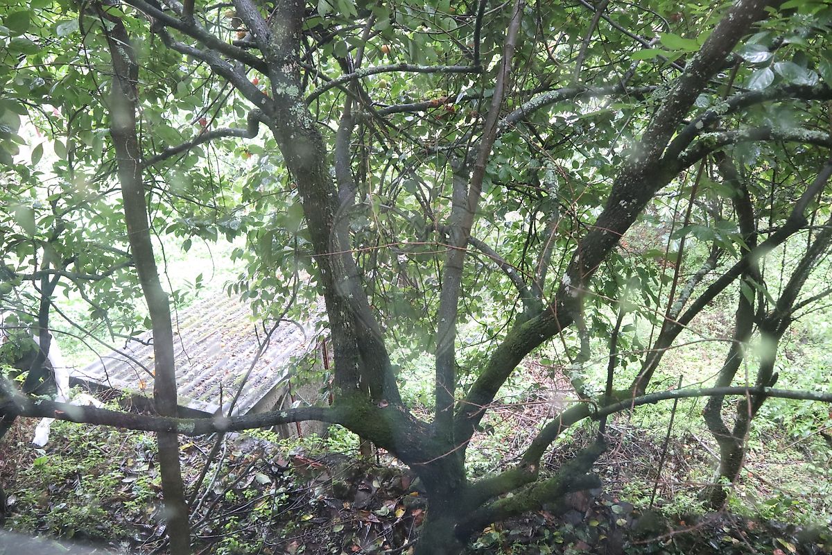 Moradia T4 à venda em Pomares, Arganil — foto 8