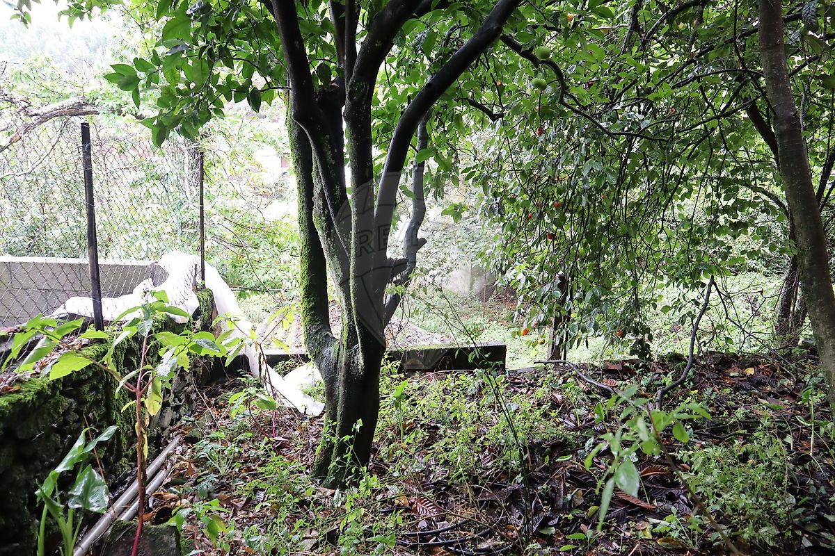 Moradia T4 à venda em Pomares, Arganil — foto 16