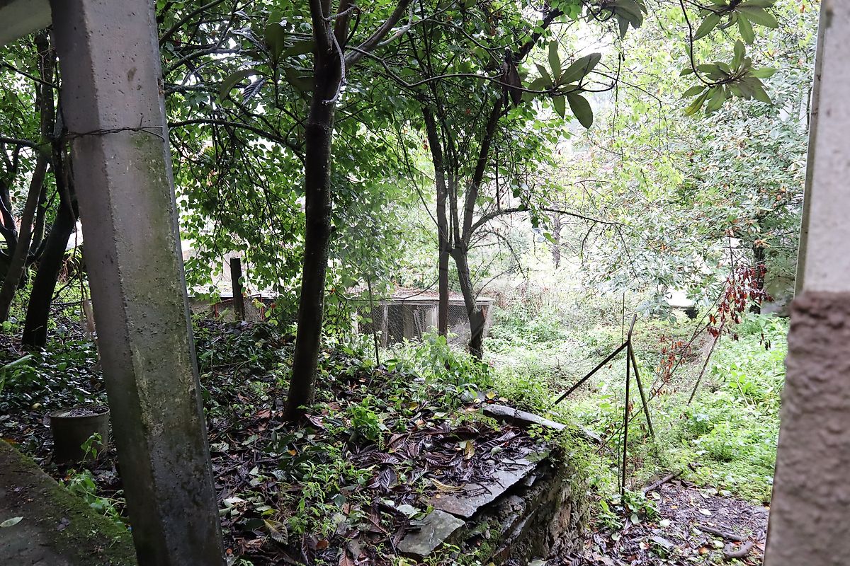 Moradia T4 à venda em Pomares, Arganil — foto 24