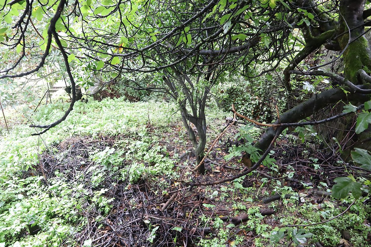 Moradia T4 à venda em Pomares, Arganil — foto 22