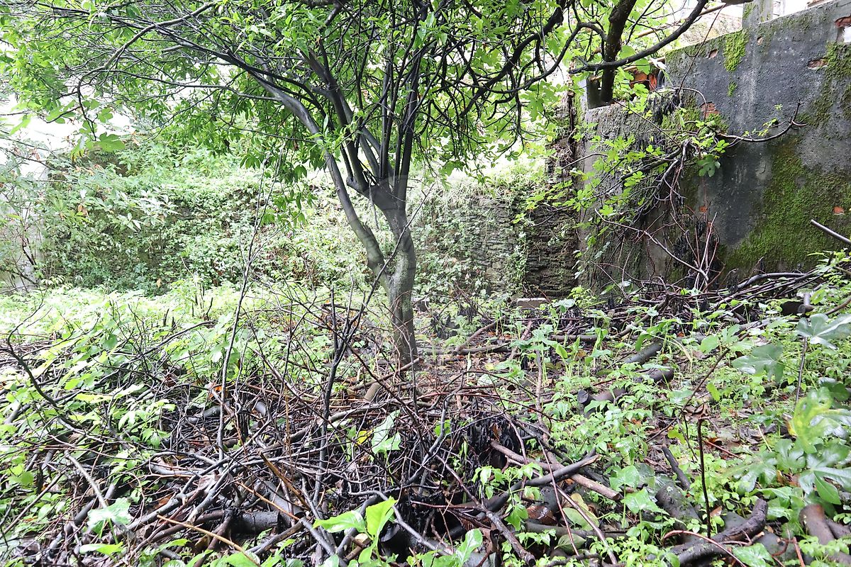 Moradia T4 à venda em Pomares, Arganil — foto 17