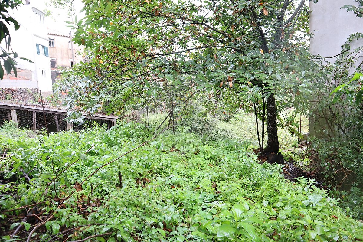 Moradia T3 à venda em Pomares, Arganil — foto 10