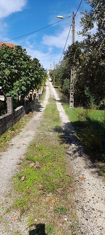 Terreno - Alcanena e Vila Moreira, Alcanena, Santarém
