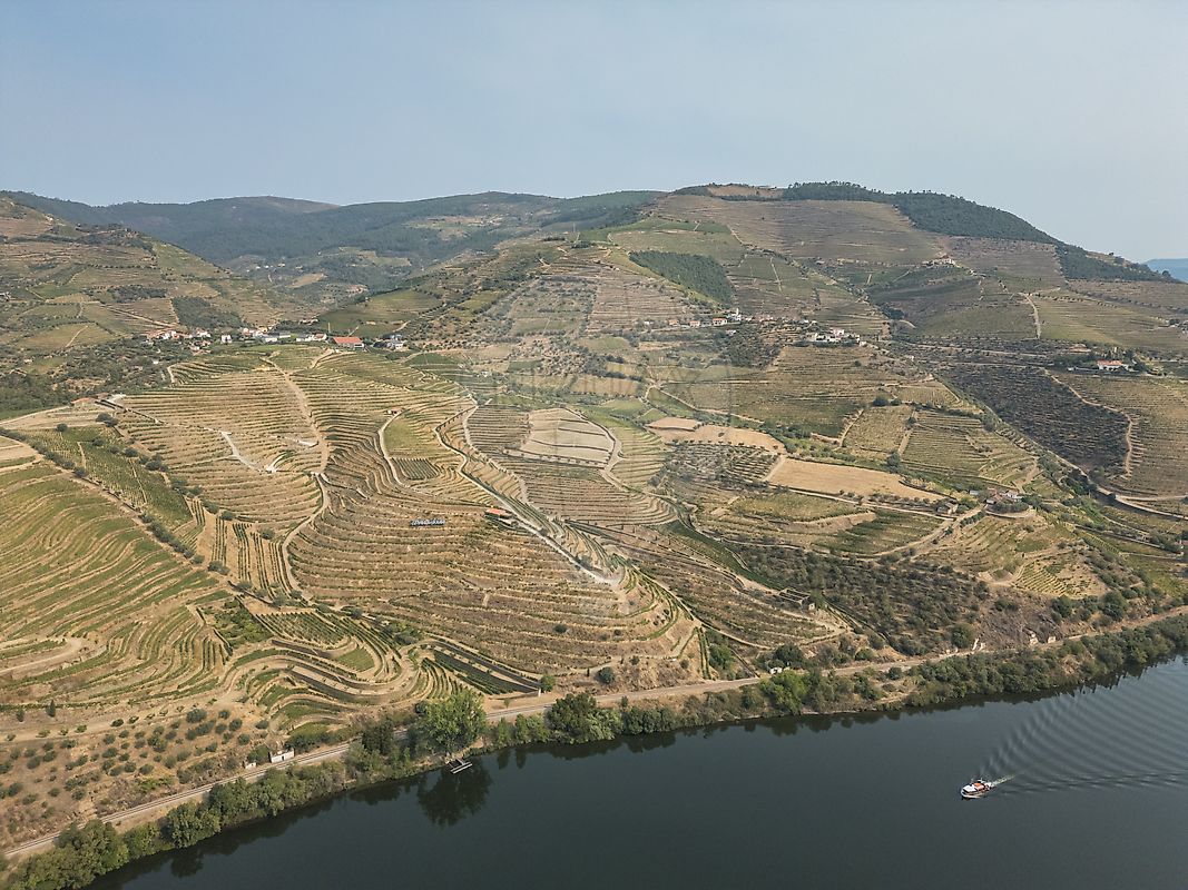 Herdade - Covas do Douro, Sabrosa, Vila Real