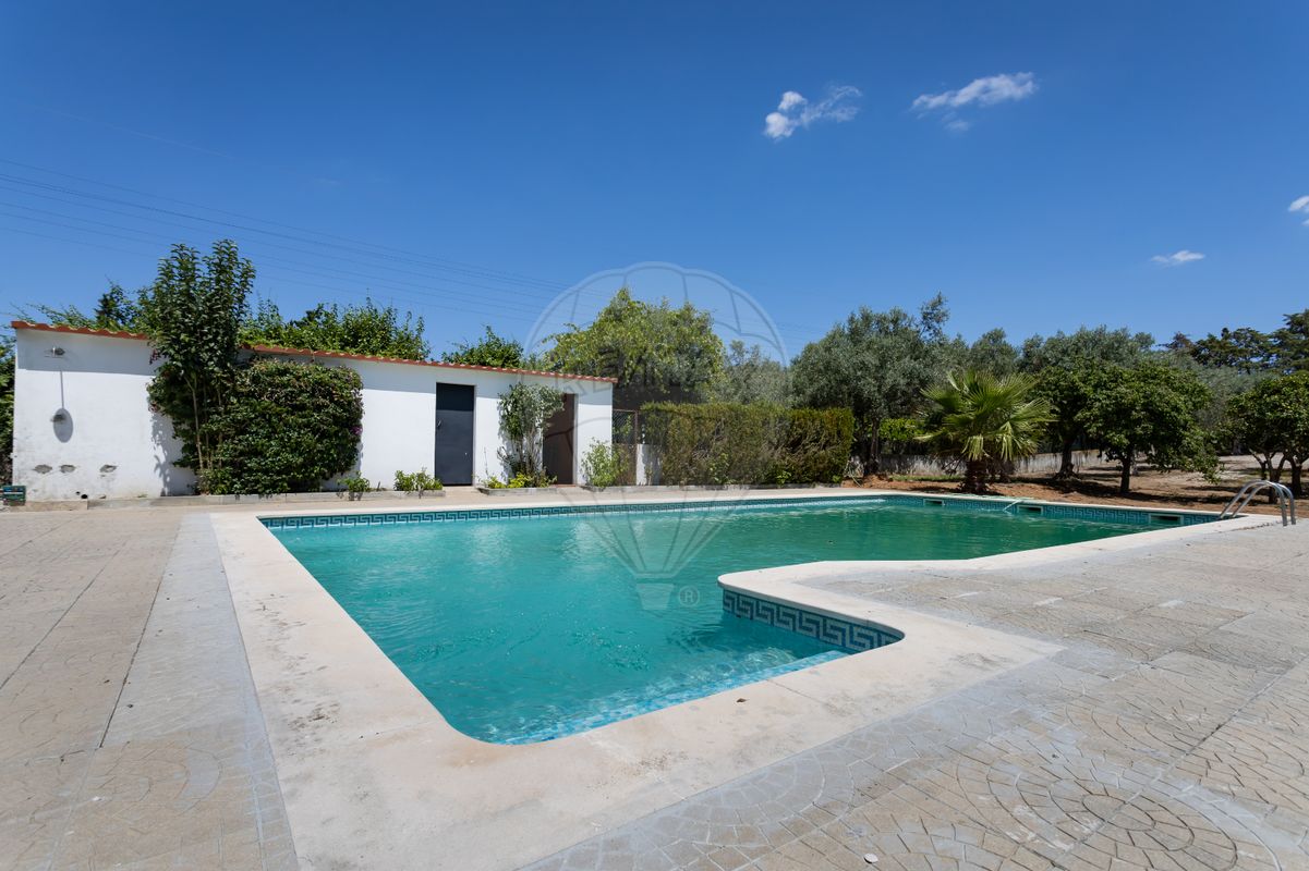 listing 122191409-295 picture-0
