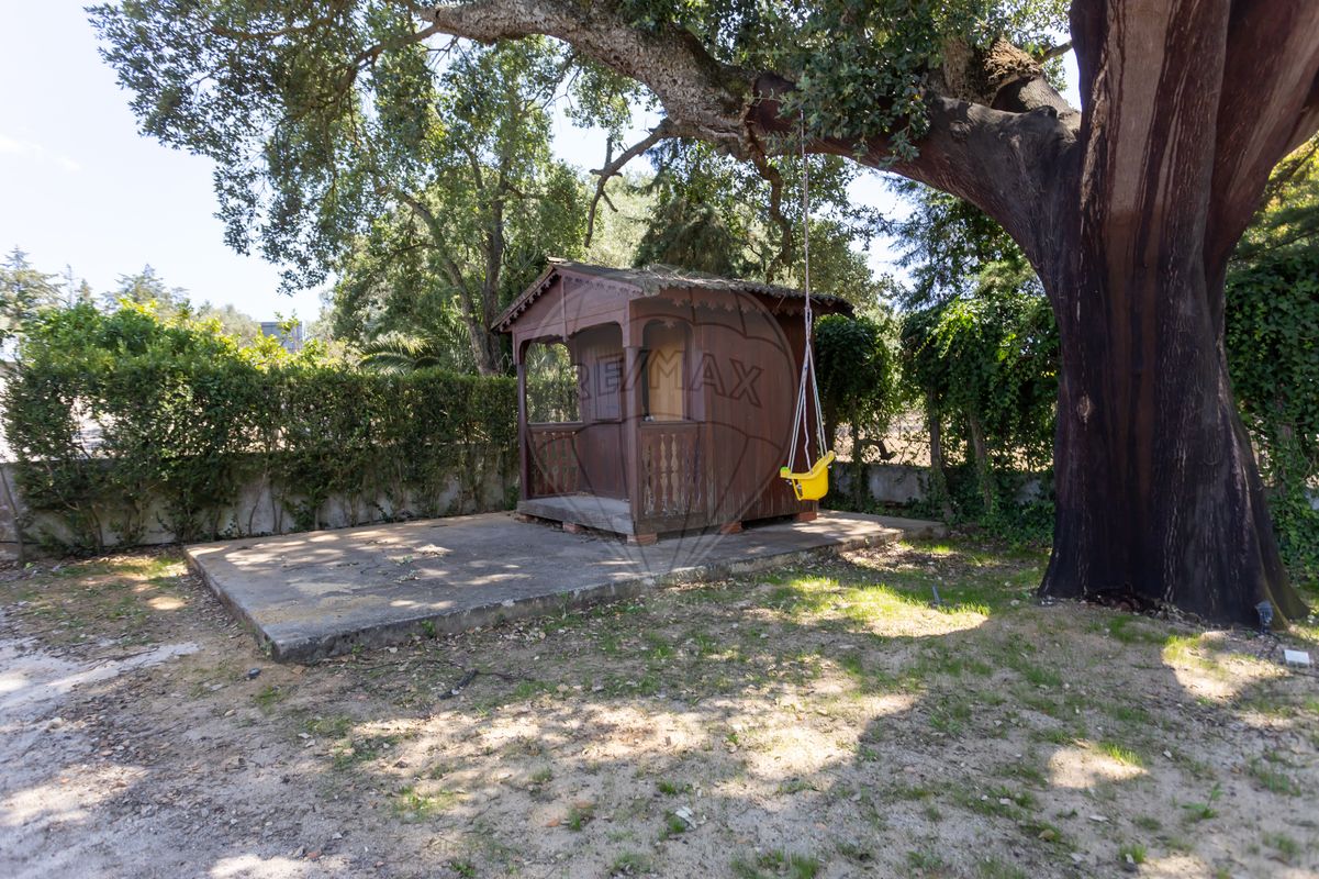 listing 122191409-295 picture-0