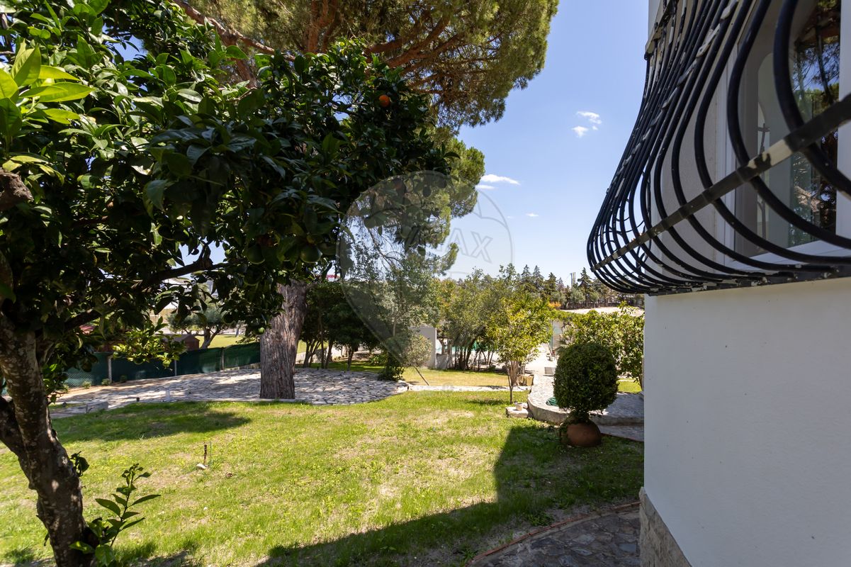 listing 122191409-295 picture-0