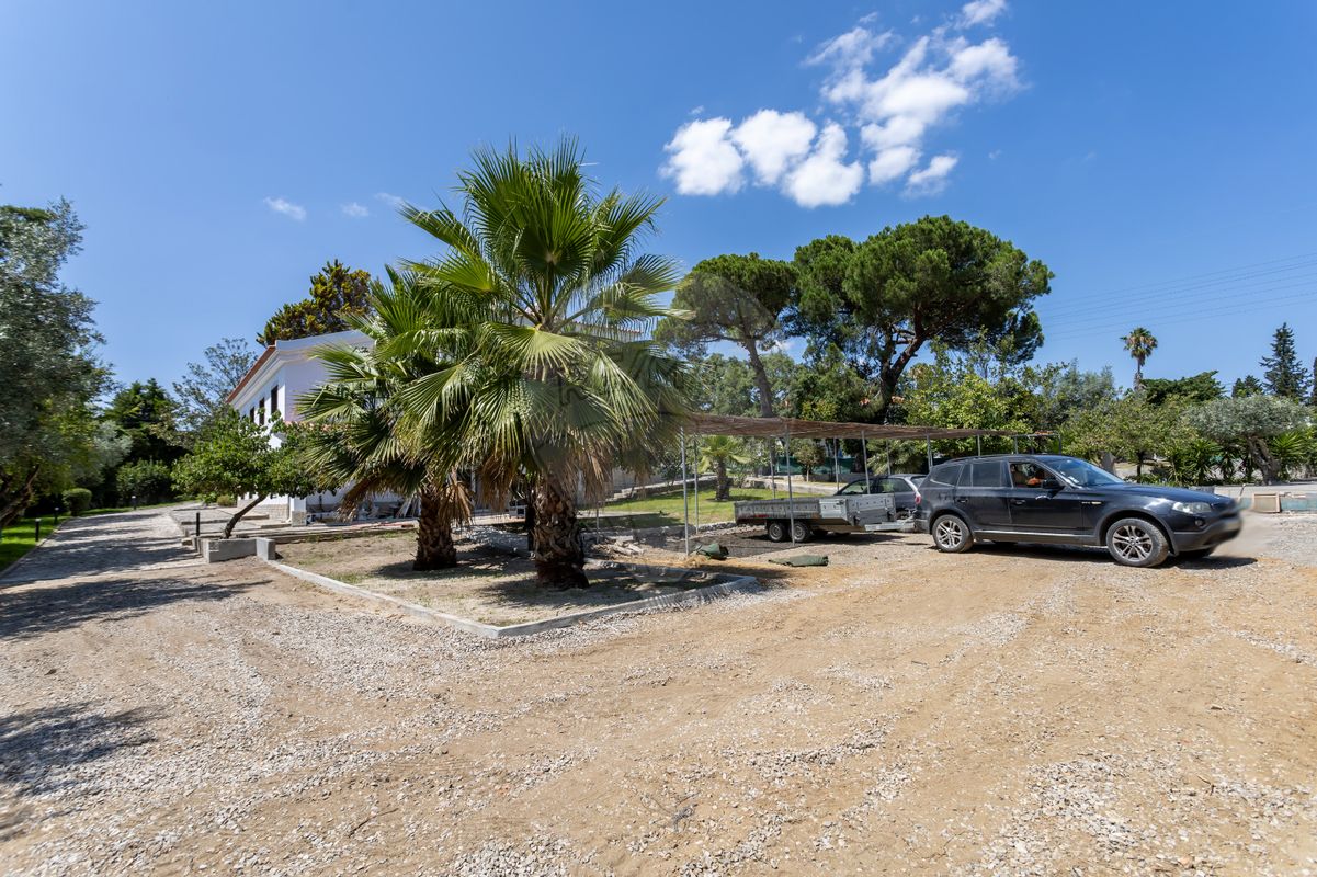 listing 122191409-295 picture-0