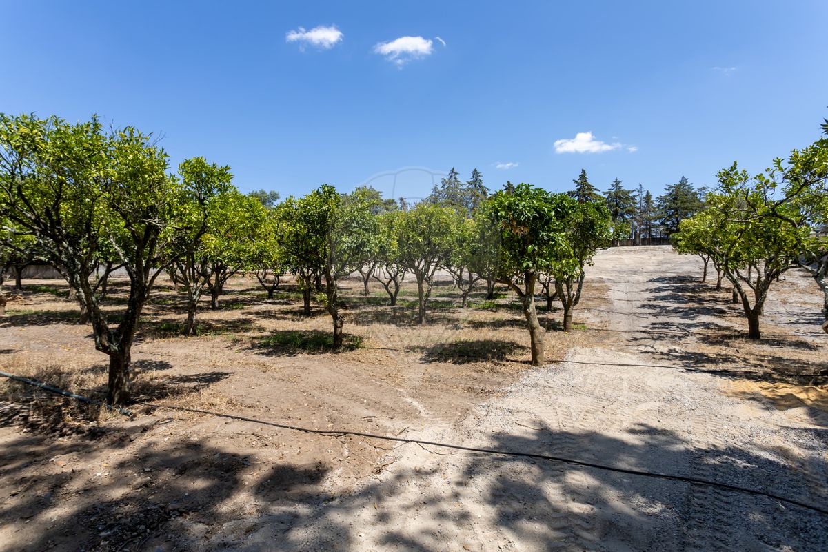 listing 122191409-295 picture-0