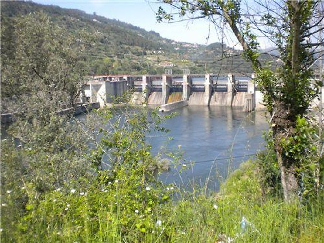 Terreno à venda em Cinfães