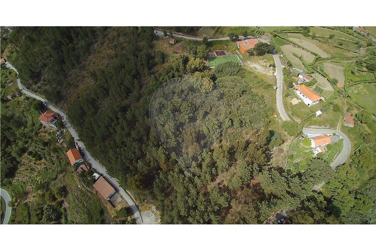 Terreno - Santa Cruz do Douro e São Tomé de Covelas, Baião, Porto