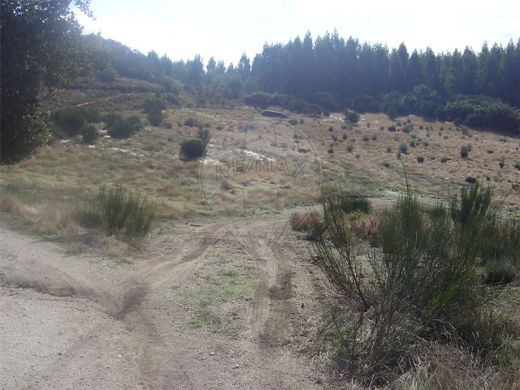 Terreno à venda em Marco de Canaveses