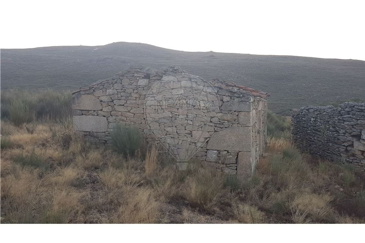 TODO
