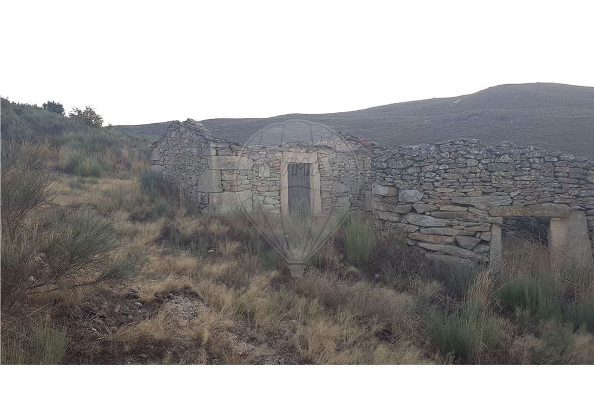 TODO