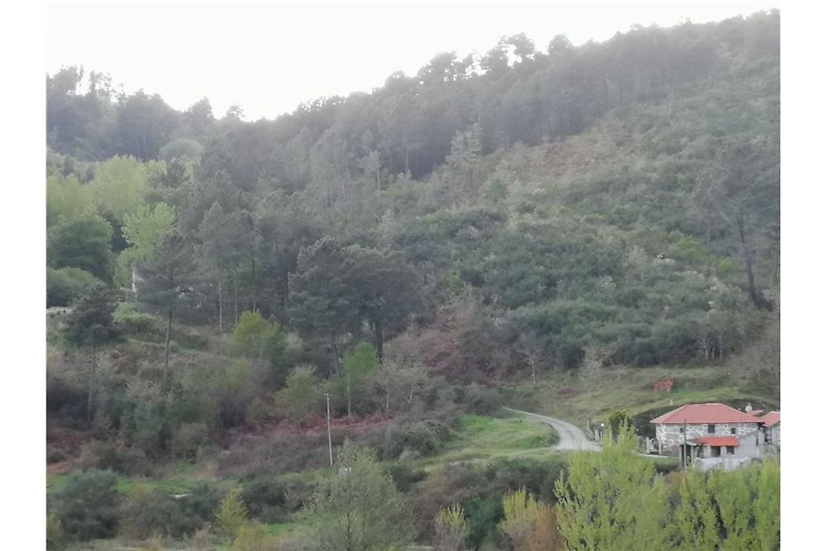 Terreno  à venda em Baião