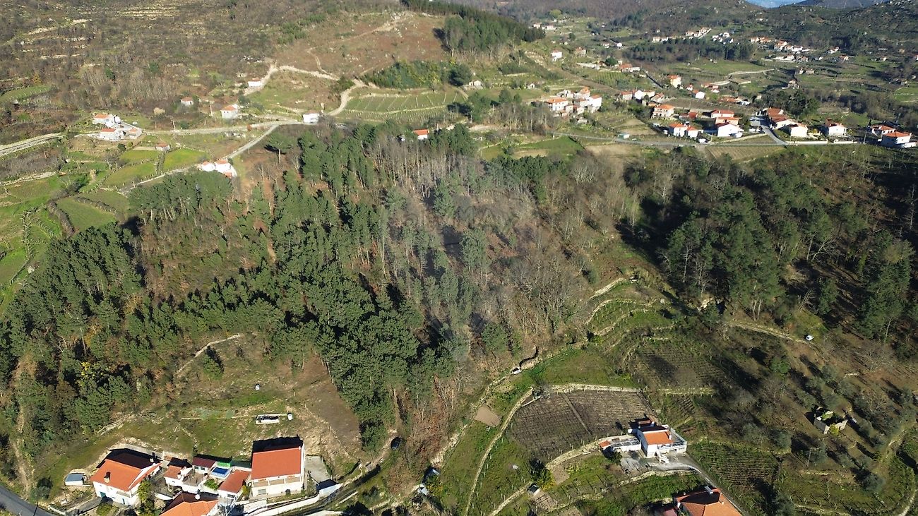 Terreno  à venda em Baião