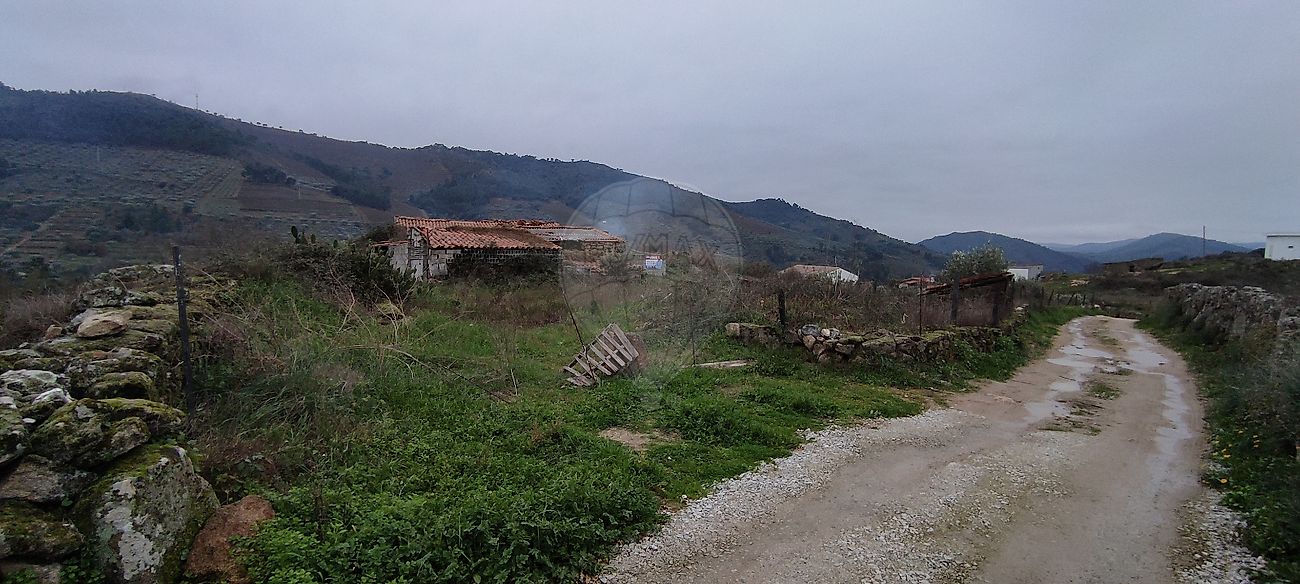 Terreno  para venda