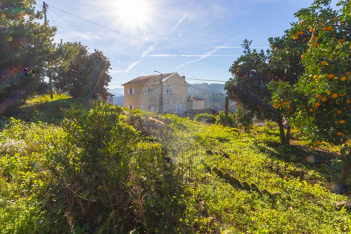 listing 122211058-849 picture-0