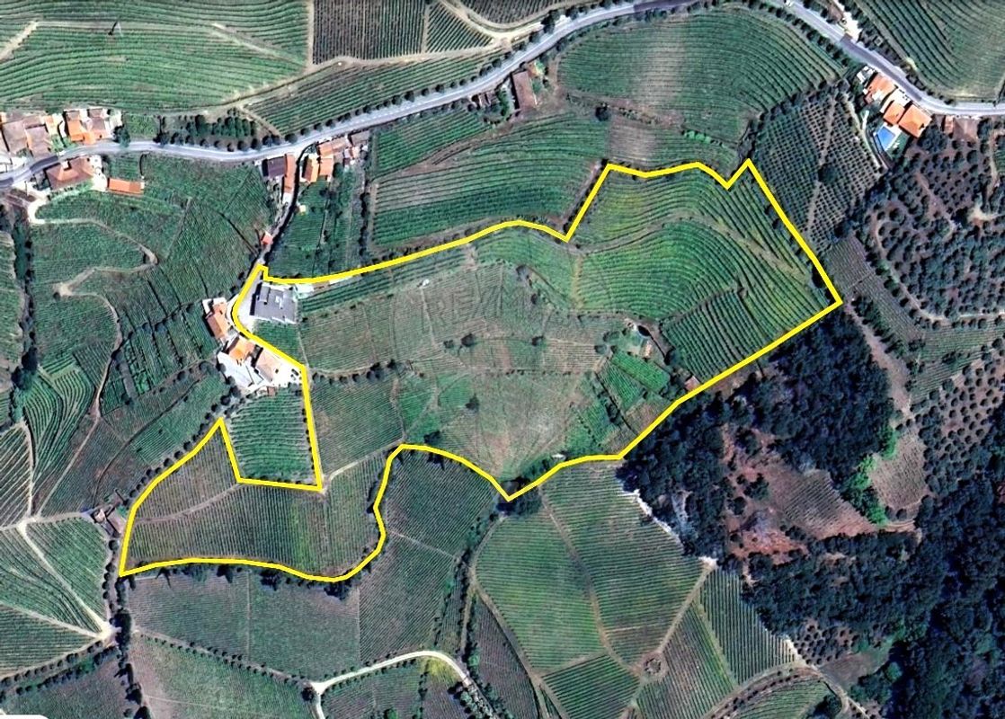 listing-picture-0