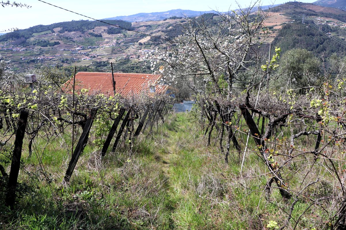 TODO