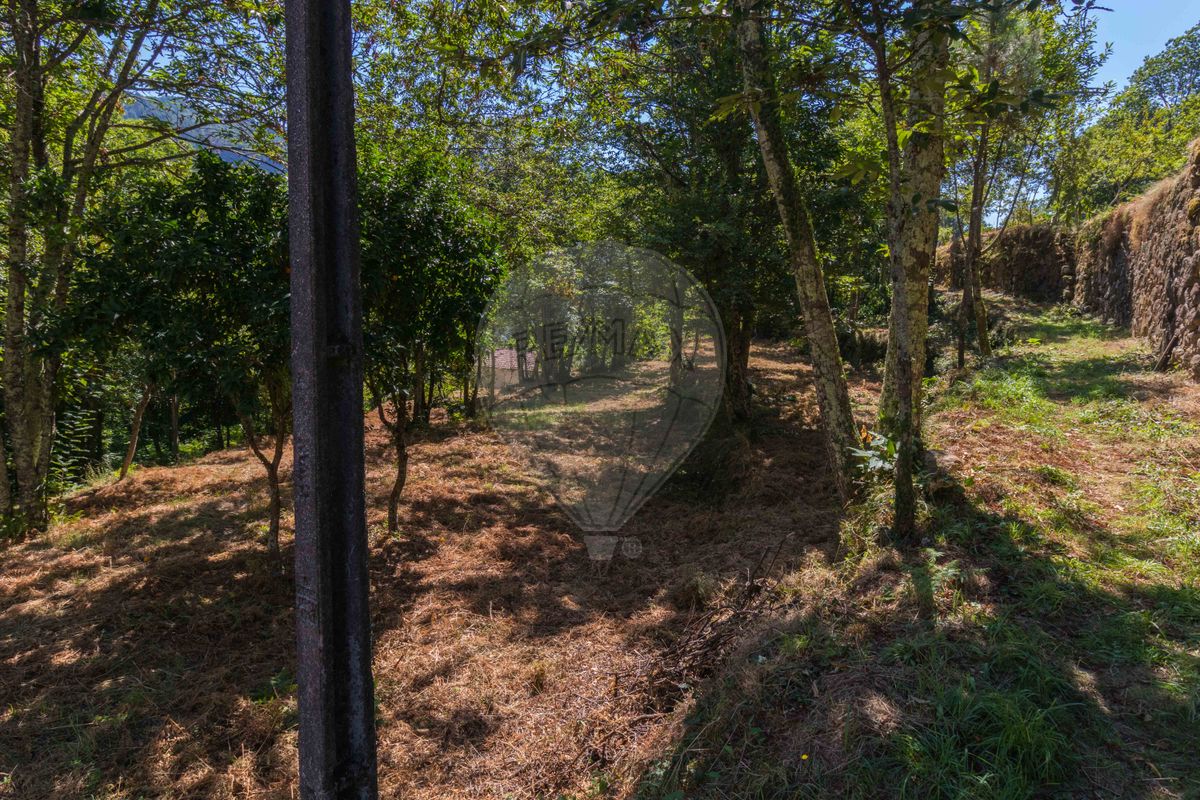 listing 122211058-877 picture-0