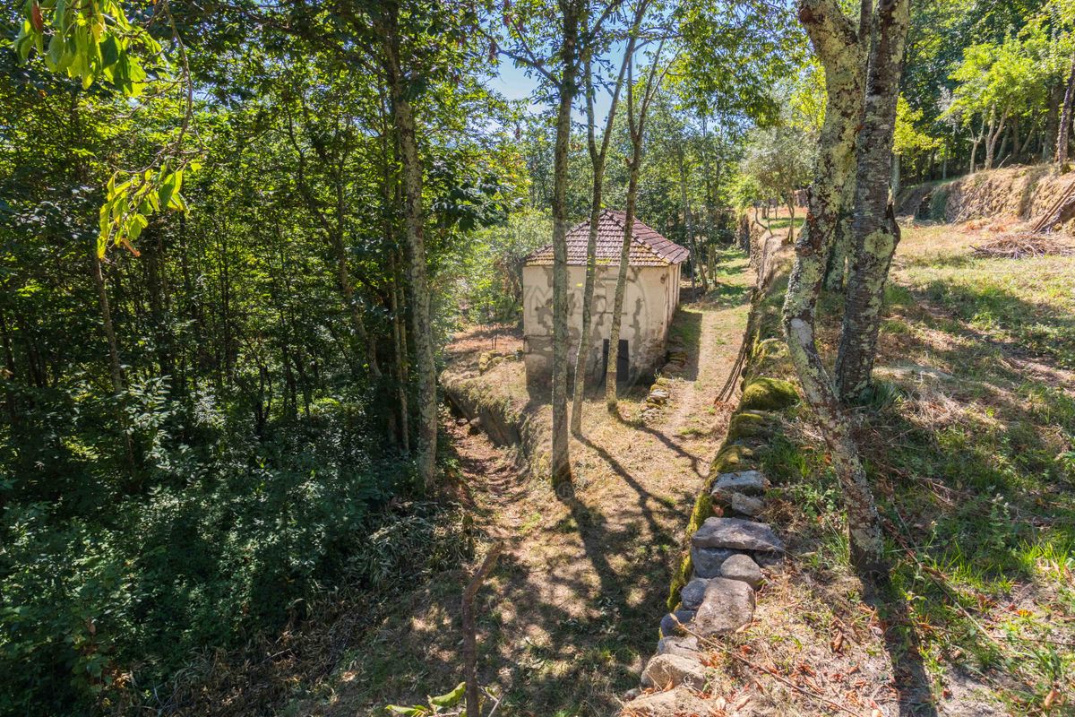 listing 122211058-877 picture-0