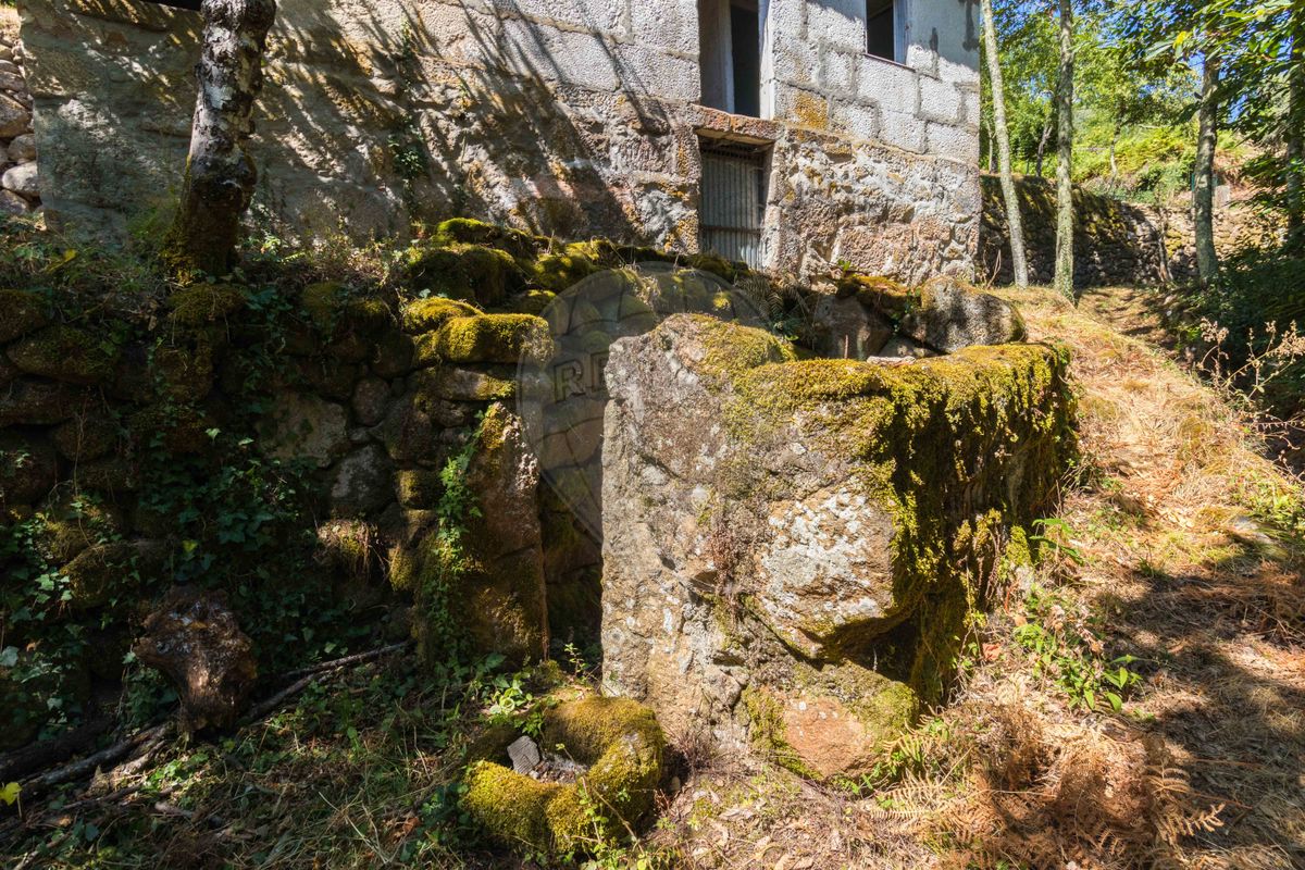 listing 122211058-877 picture-0