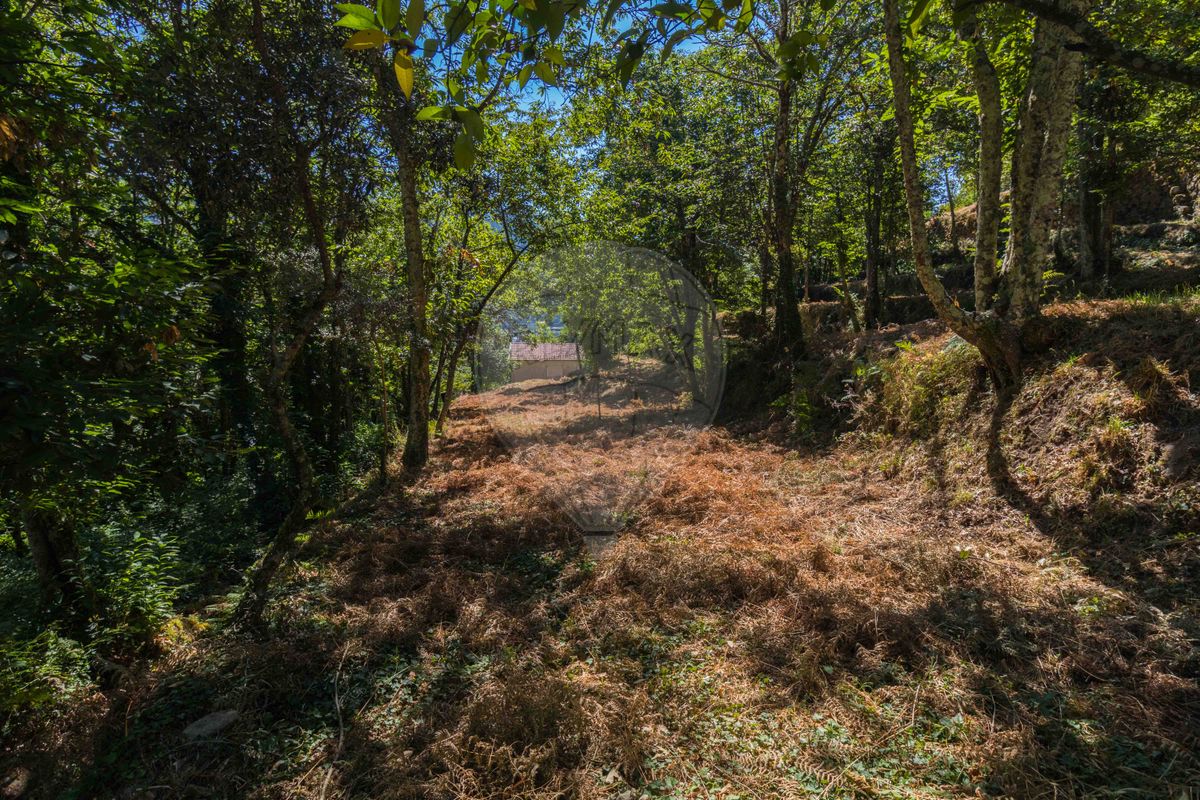 listing 122211058-877 picture-0
